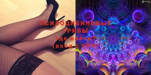 бутират Сясьстрой