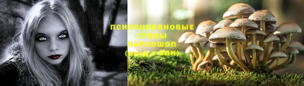 дживик Тайга