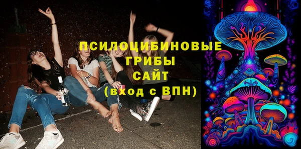 дживик Тайга