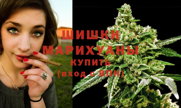 дживик Тайга