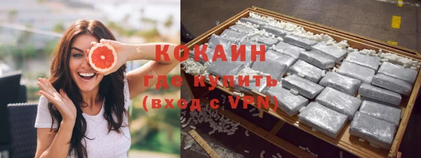 дживик Тайга