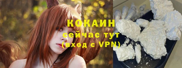 дживик Тайга